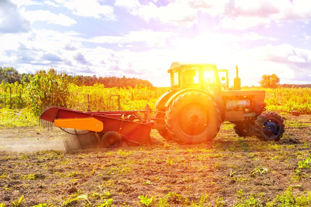 Profitable Small Farms How To Turn Your Farm Into A Business