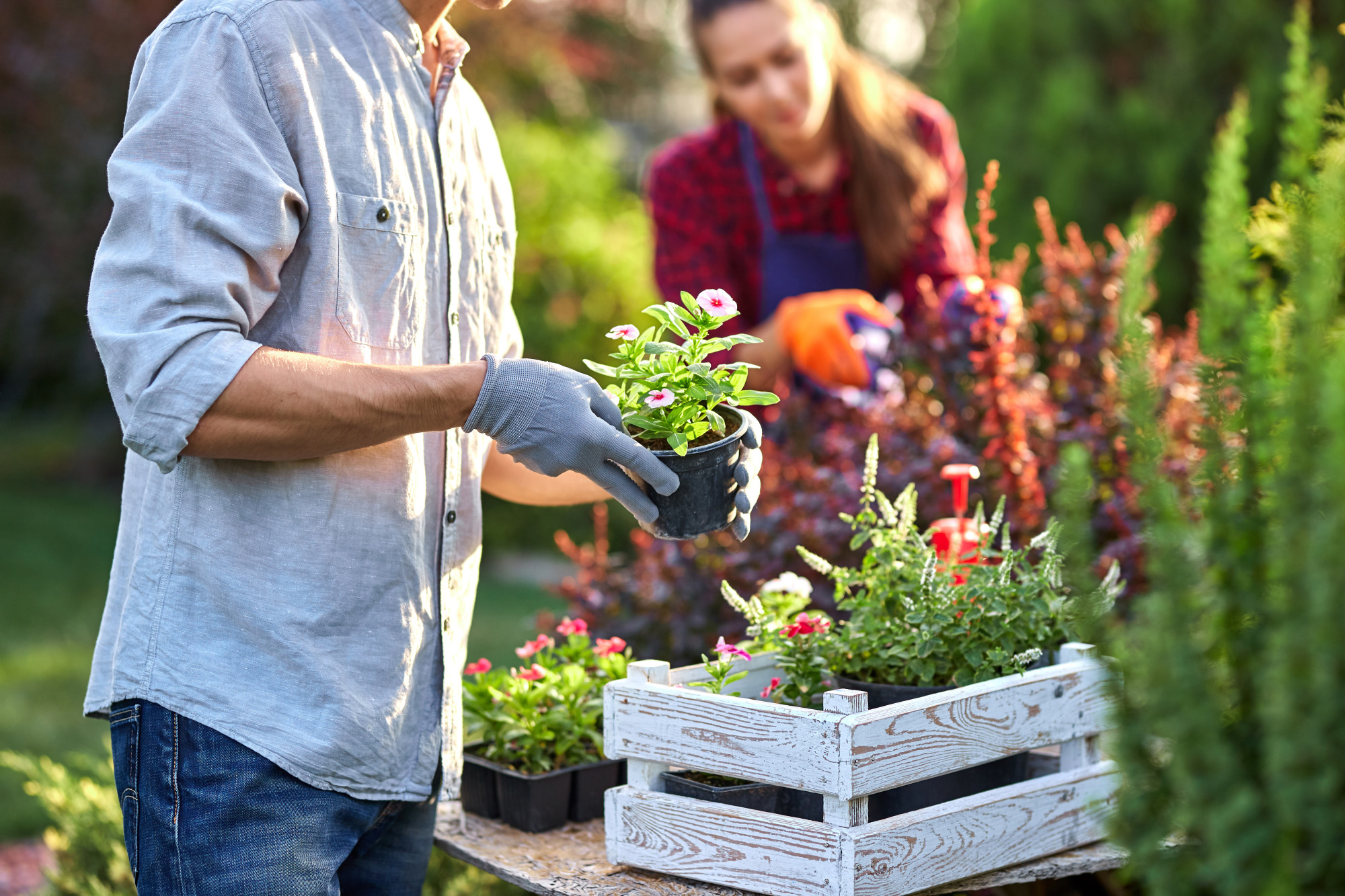 Find Your Green Thumb 5 Amazing Gardening Tips for Beginners