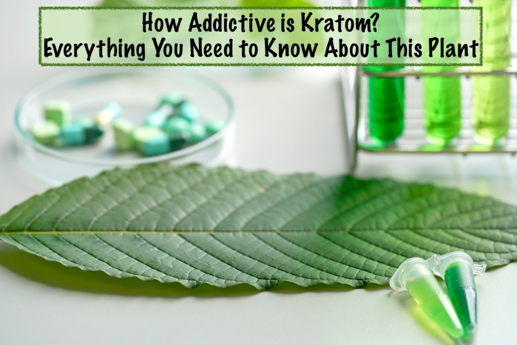 How Addictive is Kratom: Everything to Know About This Plant