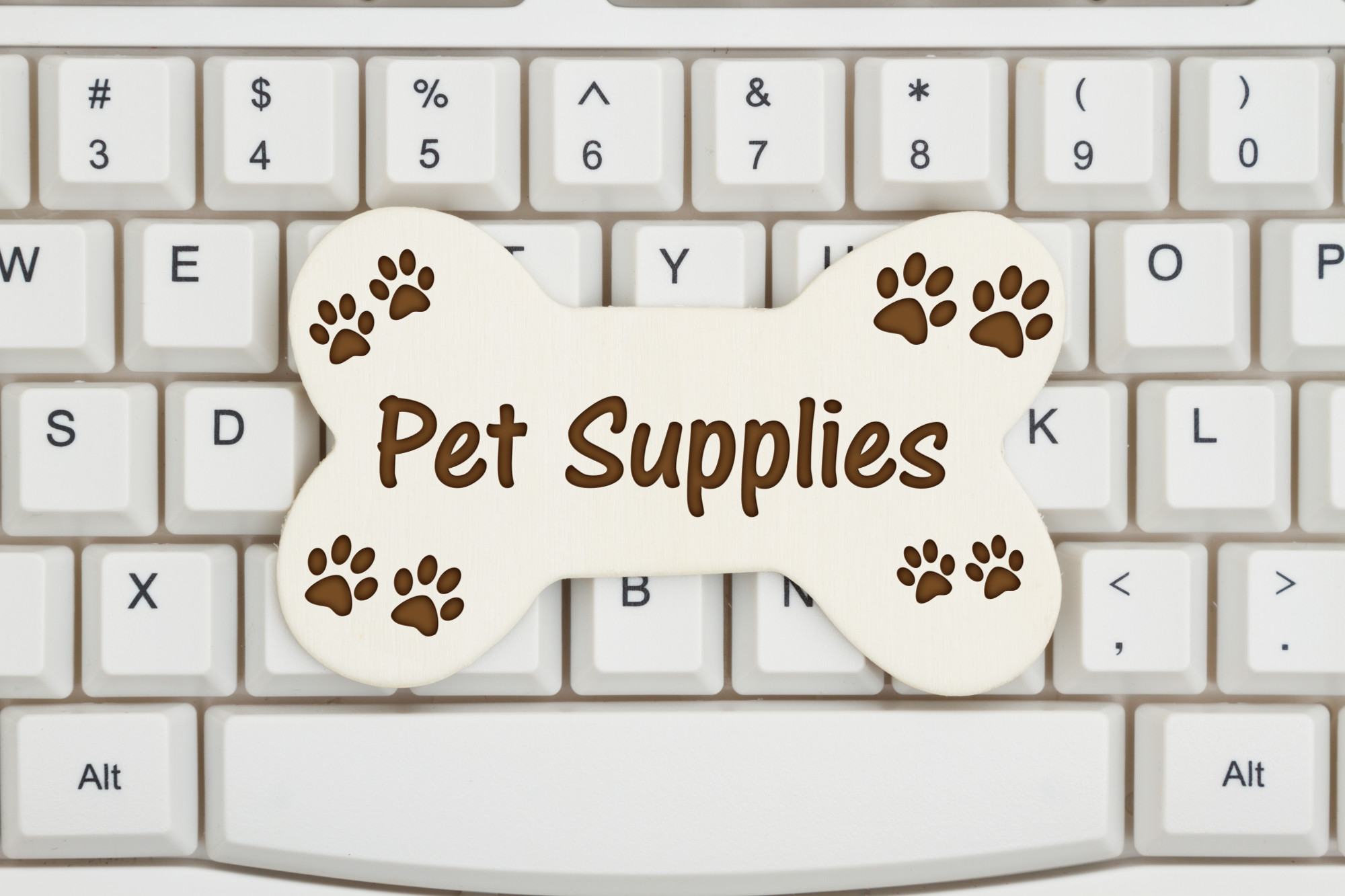 How to Start an Online Pet Store