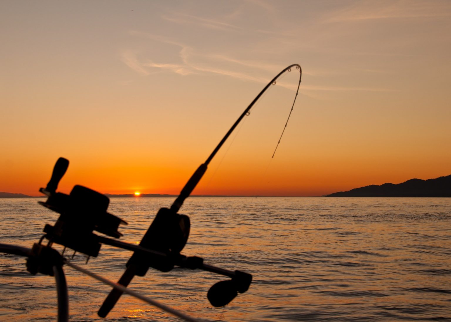 How to Catch Salmon A Complete Guide