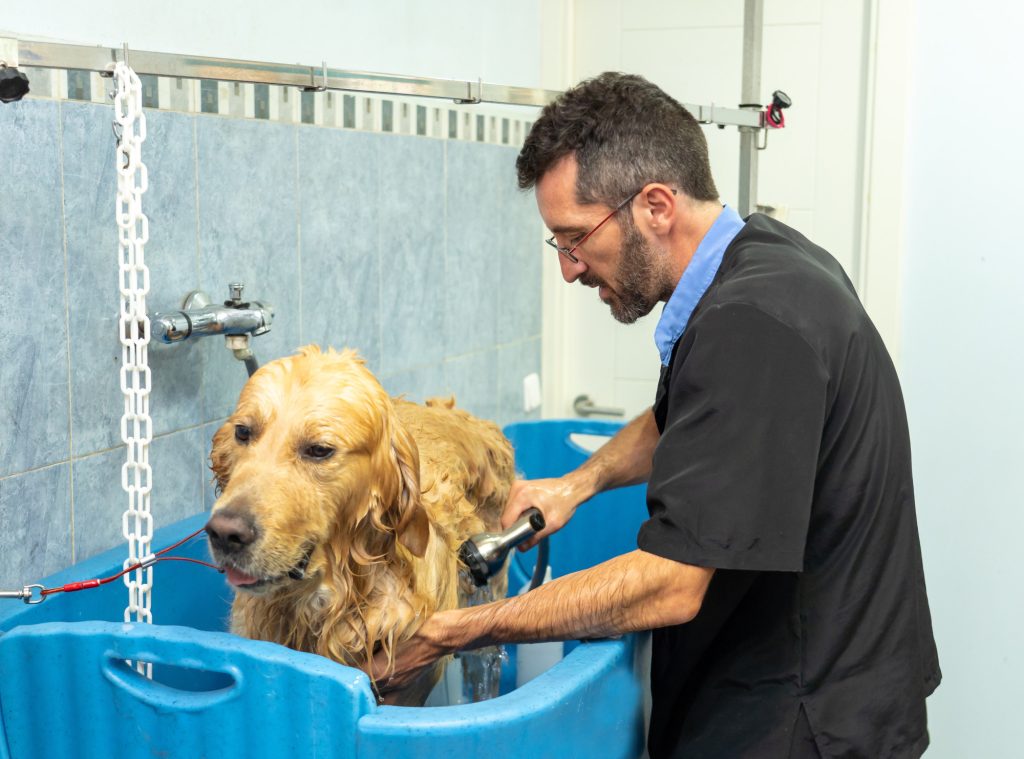 How to Calm a Dog for Grooming