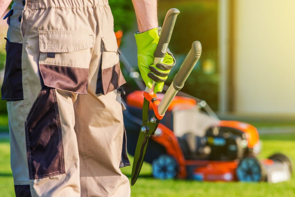 This Is How To Start A Landscaping Company this-is-how-to-start-a-landscaping-company